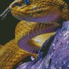 snake diamond painting