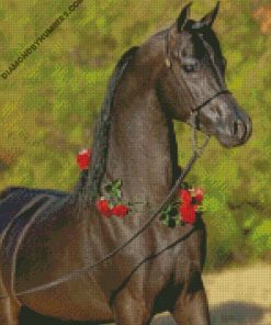 diamond paintings