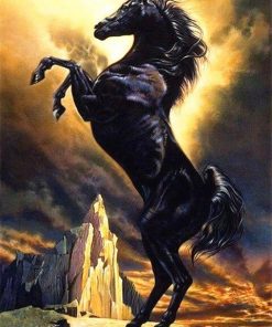 Black Arabian Horse paint by numbers