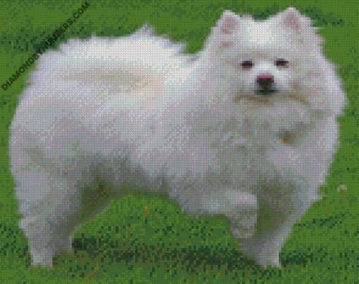 diamond painting