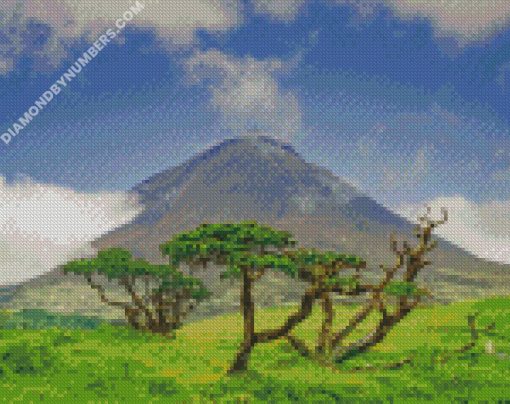 diamond painting