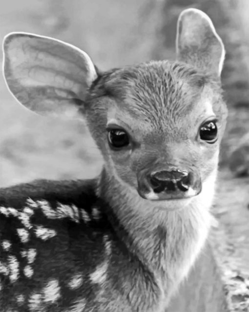 Baby Cute Reindeer paint by numbers