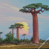 diamond paintings