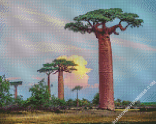 diamond paintings
