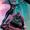 Batman And Catwoman Heroes Paint by numbers