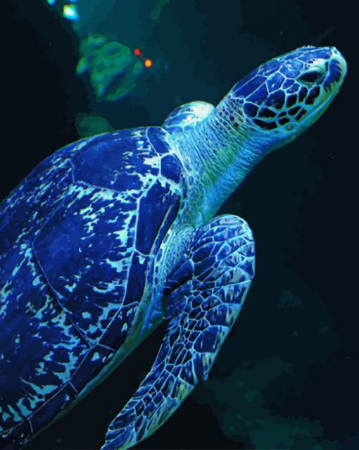 blue-sea-turtle-paint-by-number