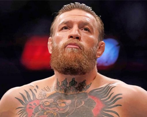 Handsome Conor Mcgregor paint by number
