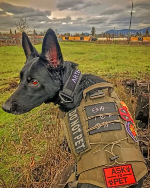 Cool Black German Shepherd