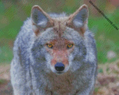 diamond painting
