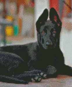 diamond paintings