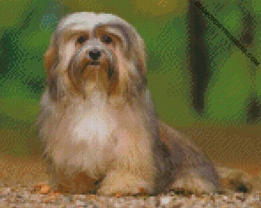 diamond paintings