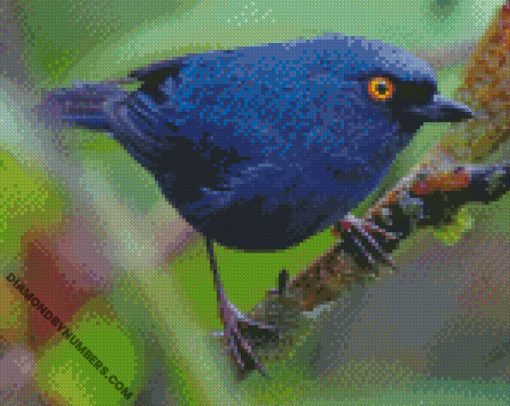 diamond paintings