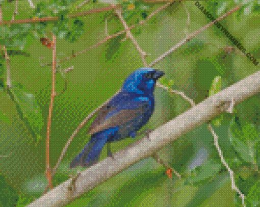 diamond painting