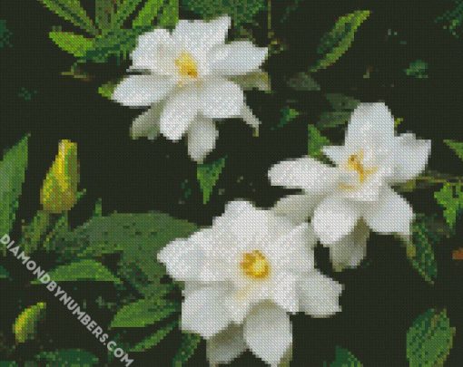 gardenias flowers diamond painting