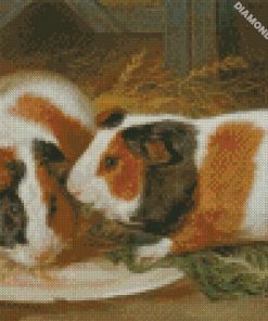 diamond paintings