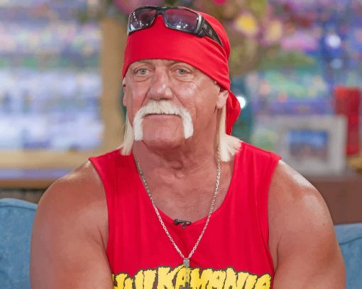 Hulk Hogan Paint by numbers