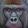 diamond painting