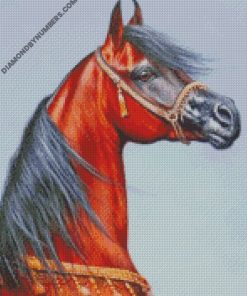 diamond paintings