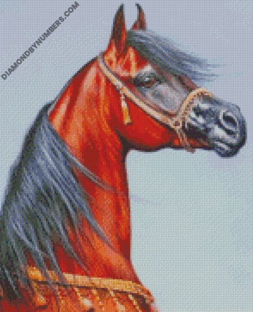 diamond paintings
