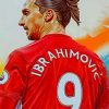 Zlatan Ibrahimovic paint by numbers