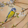 Diamond Paintings