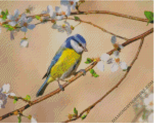 Diamond Paintings