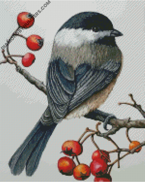 Diamond Painting