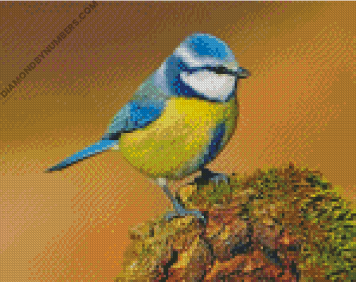 Diamond Painting