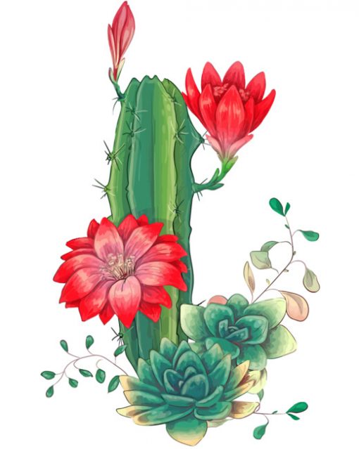 Succulents And Red Roses diamond painting