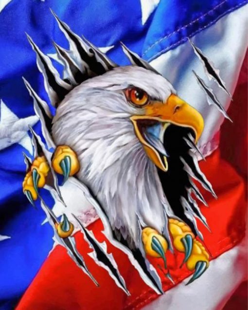 american-flag-eagle-paint-by-numbers