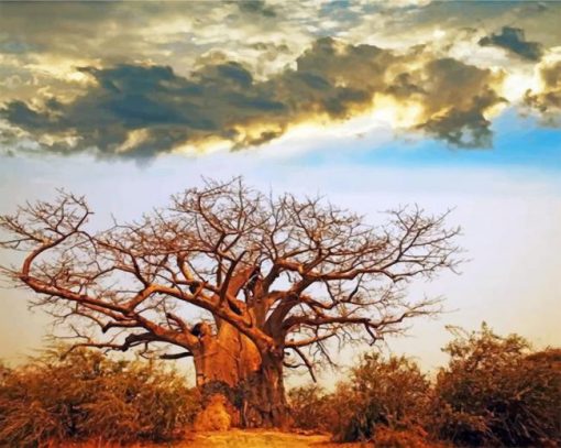 baobab-tree-paint-by-numbers