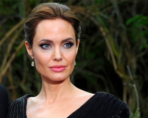 beautiful-angelina-jolie-paint-by-numbers