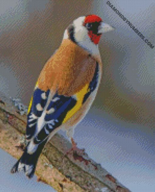diamond painting