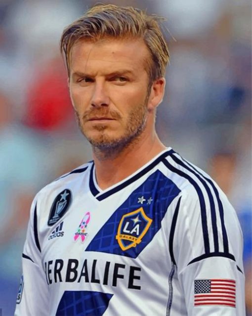 beckham-paint-by-numbers