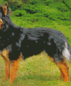 diamond painting