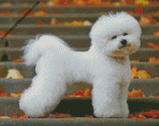 diamond paintings