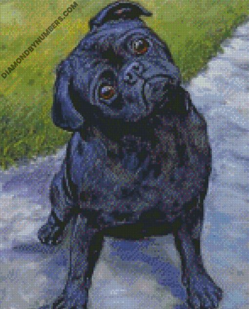 diamond paintings