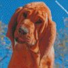diamond painting