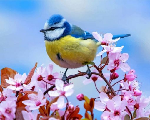 blue-tit-bird-paint-by-number