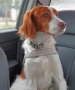brittany-spaniel-paint-by-number