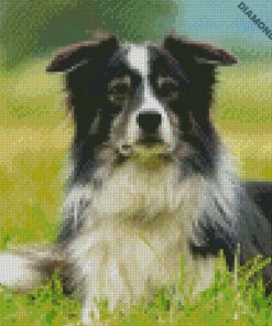 diamond paintings
