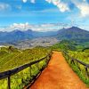 ecuador-landscape-paint-by-number