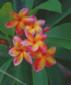 diamond painting