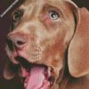 diamond painting