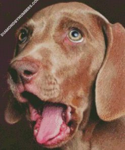 diamond painting