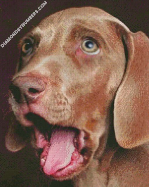 diamond painting