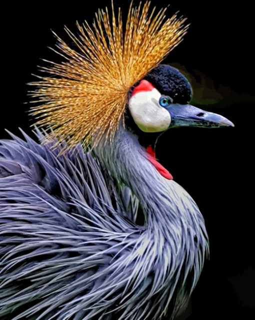 grey-bird-paint-by-numbers