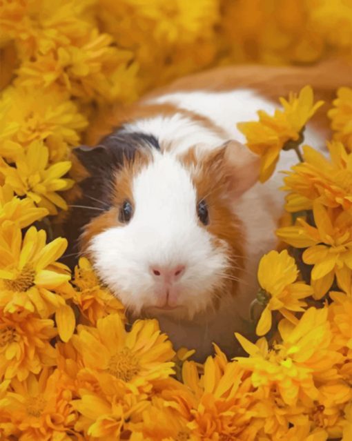 guinea-pigs-paint-by-numbers