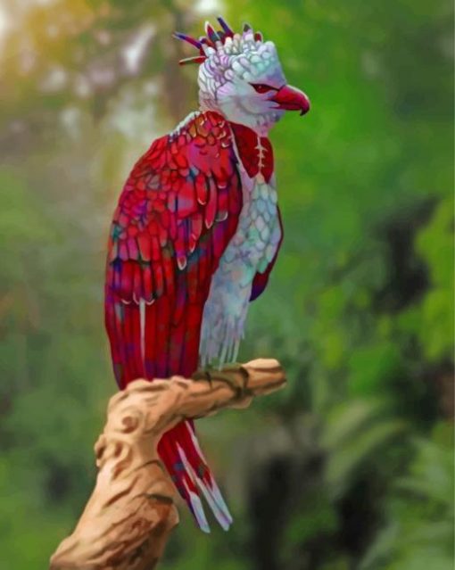 harpy-eagle-paint-by-numbers