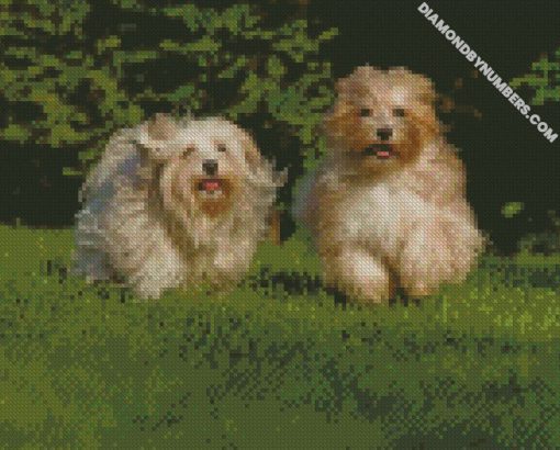 diamond painting